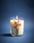 (250 g) valse des roses scented candle