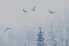 Фото #10 товара Acrylbild handgemalt Tannen im Nebel