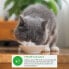 Фото #2 товара Snack for Cats Inaba Dashi Delights Курица 70 g