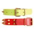 Фото #1 товара YOUPET Leather Class Co1F 45x2.5 cm Dog Collar