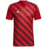 Adidas Entrada 22 Graphic Jersey M HB0572