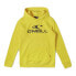 O´NEILL N4750004 N4750004 hoodie