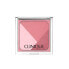 CLINIQUE Sculptionary Pressed Powder