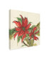 Фото #2 товара Chris Paschke Poinsettia II Canvas Art - 15" x 20"