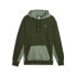 Puma Classics Block Pullover Hoodie Mens Green Casual Outerwear 53561931