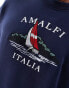 Фото #3 товара Hollister Amalfi nautical print sweatshirt relaxed fit in navy