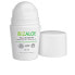 Фото #1 товара IBIZALOE deodorant bio roll-on 50 ml