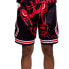 Mitchell Ness Big Face SHORBW19069-CBUBLCK97 Pants