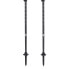 BLACK DIAMOND Alpine Carbon Cork Poles