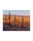Фото #1 товара Tim OToole Desert Light I Canvas Art - 36.5" x 48"