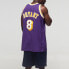 Фото #4 товара Баскетбольная Mitchell Ness NBA AU 1996-97 8 AJY4GS18092-LALPURP96KBR