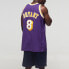 Mitchell Ness NBA AU 1996-97 8 AJY4GS18092-LALPURP96KBR Basketball Shoes