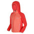 Фото #3 товара REGATTA Kielder Hybrid V jacket