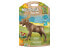 Фото #2 товара Игровой набор Playmobil Moose 71052 Wildlife (Дикая природа)