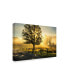 Фото #2 товара Danny Head Wake Up Call Country Road Canvas Art - 20" x 25"