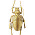 Wandschmuck Longicorn Beetle