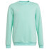 ADIDAS Entrada 22 Stadium SW sweatshirt