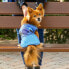 Фото #2 товара Футболка для собак Stitch Синяя 100% хлопок
