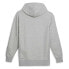 Фото #4 товара Puma Rudagon Logo Hoodie Mens Grey Casual Outerwear 62361204