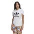 ADIDAS ORIGINALS Graphics GN3354 short sleeve T-shirt