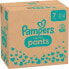 Baby Pants Baby Dry Gr.7 Extra Large (17+ kg), Monatsbox, 126 St