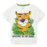 ფოტო #1 პროდუქტის BOBOLI 328070 short sleeve T-shirt