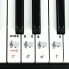Фото #7 товара RockJam 49-key portable digital piano keyboard with power stand, power supply and note key stickers