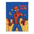 Фото #1 товара Plaid Spiderman