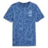 Puma Mcfc Ftblcore Graphic Crew Neck Short Sleeve T-Shirt Mens Blue Casual Tops
