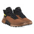 Ecco Biom 2.1 Mountain Mid Gtx