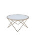 Фото #4 товара Valora Coffee Table in Champagne & Frosted Glass 81825