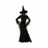 Фото #11 товара Маскарадные костюмы для взрослых Зеленый Ведьма взрослых