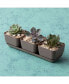 Фото #3 товара 10013 Herb & Succulent Trio Planter/Flower Pot, Taupe, 12"