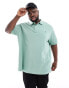 Polo Ralph Lauren Big &Tall icon logo pique polo custom fit in light green