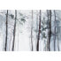 Фото #2 товара Fototapete Watercolour Forest