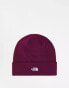 Фото #1 товара The North Face Norm beanie in burgundy