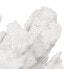 Фото #3 товара Декоративная фигура Белый Коралл 29 x 20 x 21 cm