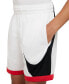 ფოტო #2 პროდუქტის Big Boys Dri-FIT Standard-Fit Colorblocked Basketball Shorts
