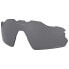 Заменяемые поляроидные линзы для масок горнолыжных оправ Oakley Radar EV Pitch Prizm Polarized Prizm Polarized Black/CAT3 - фото #1