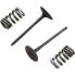 PROX Suzuki RM-Z 250 28.SIS3338-2 Springs intake valve