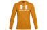 Under Armour UA Terry Trendy Clothing Hoodie
