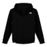 THE NORTH FACE Biner Graphic hoodie