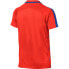 Фото #2 товара Nike Dry Squad Junior 833008-852 football jersey