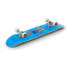 Фото #2 товара ENUFF SKATEBOARDS Skully Mini 7.25´´ Freestyle