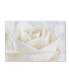 Фото #1 товара Cora Niele 'Pure White Rose' Canvas Art - 47" x 30" x 2"