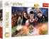 Trefl Puzzle 300 Tajemniczy Harry Potter TREFL