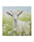 Фото #1 товара Sunshine Animals Goat Canvas Wall Art