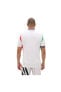 IN0656-E adidas Fıgc İtalya 24 Deplasman Forması Erkek Forma Beyaz