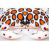 GABY The Calico Crab Medium White / Brown / Black - фото #3