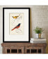 Фото #2 товара D'Orbigny Birds VIII 16" x 20" Framed and Matted Art